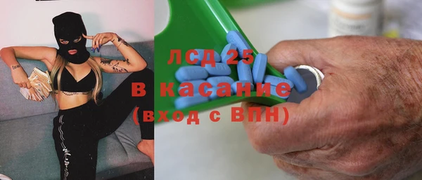 гашик Алексин